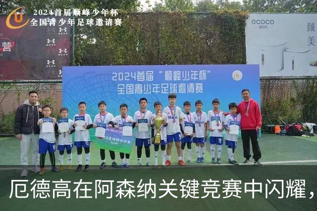 厄德高在阿森纳关键竞赛中闪耀，队长身份逐渐稳固？